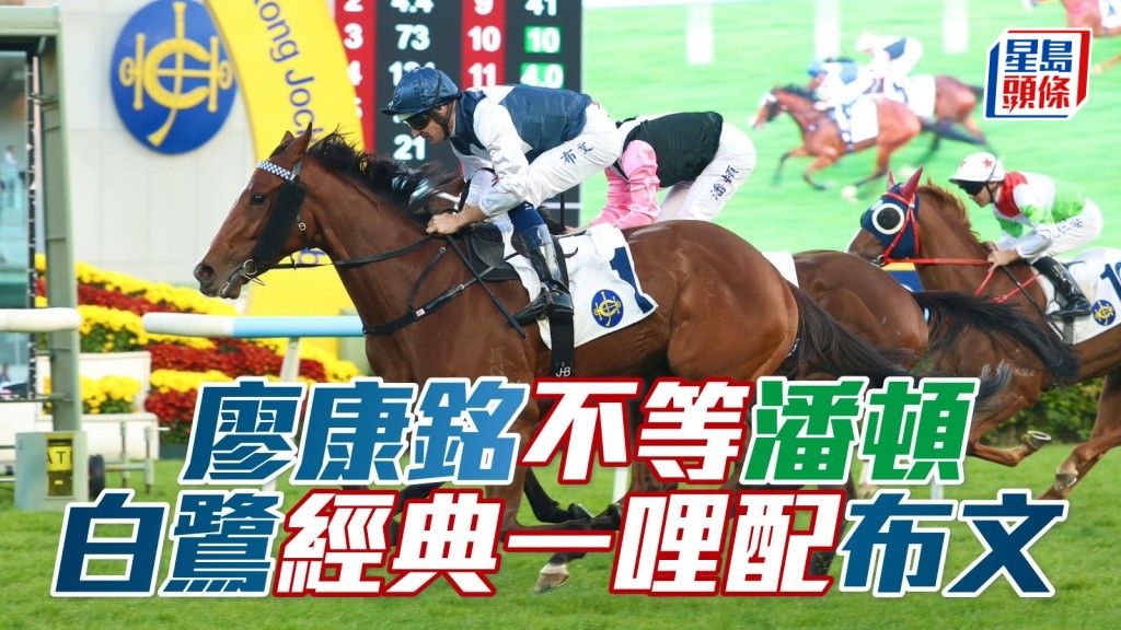 廖康铭不等潘顿，「白鹭金刚」经典一哩配布文。