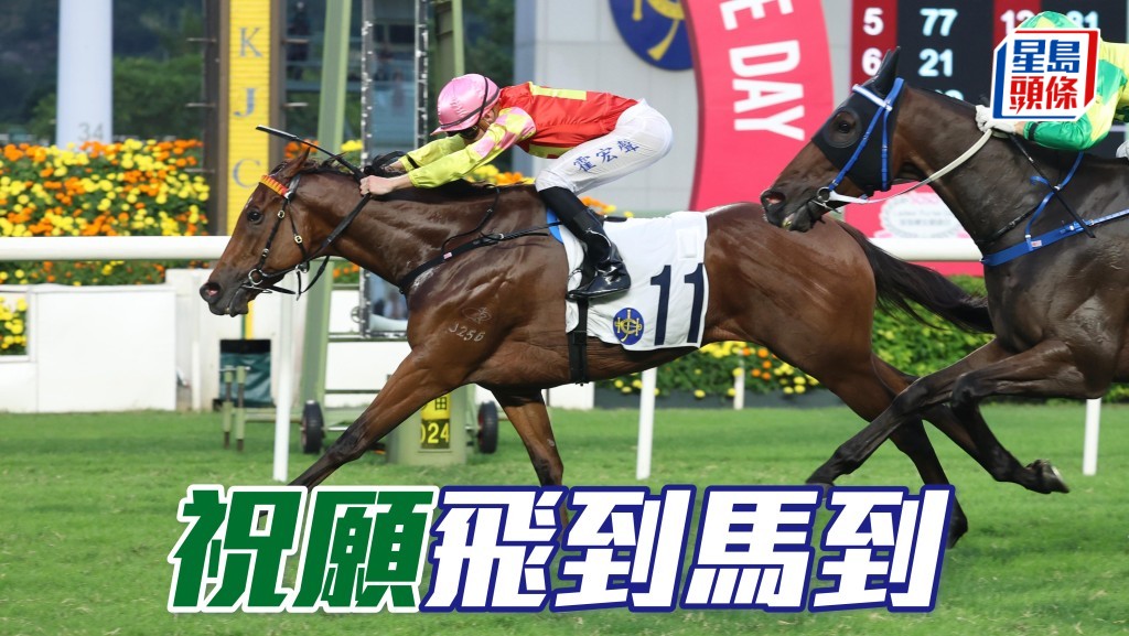 馬場密探048|「祝願」飛到馬到