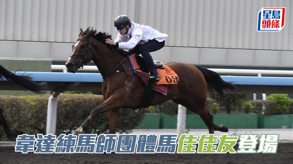 韋達練馬師團體馬「佳佳友」（圖）將於周日沙田賽事在港初次登場，跑頭場四班一千米。