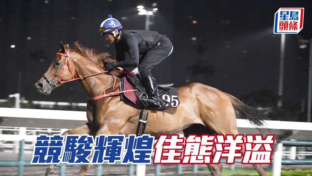  「競駿輝煌」昂首闊步充滿勁度，雙目炯炯有神。