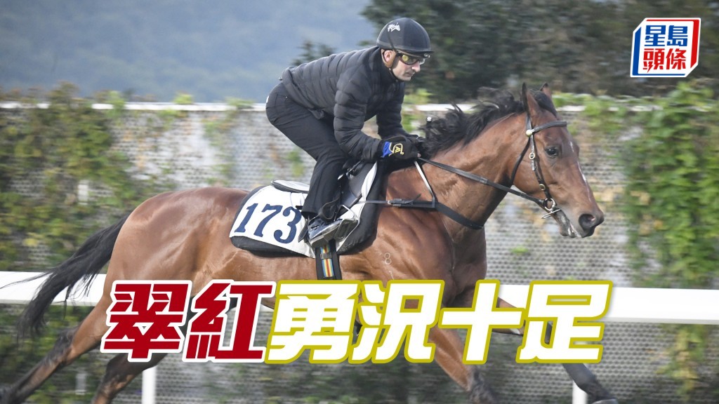 「翠红」试来精神爽利，步顺轻快又有弹力。