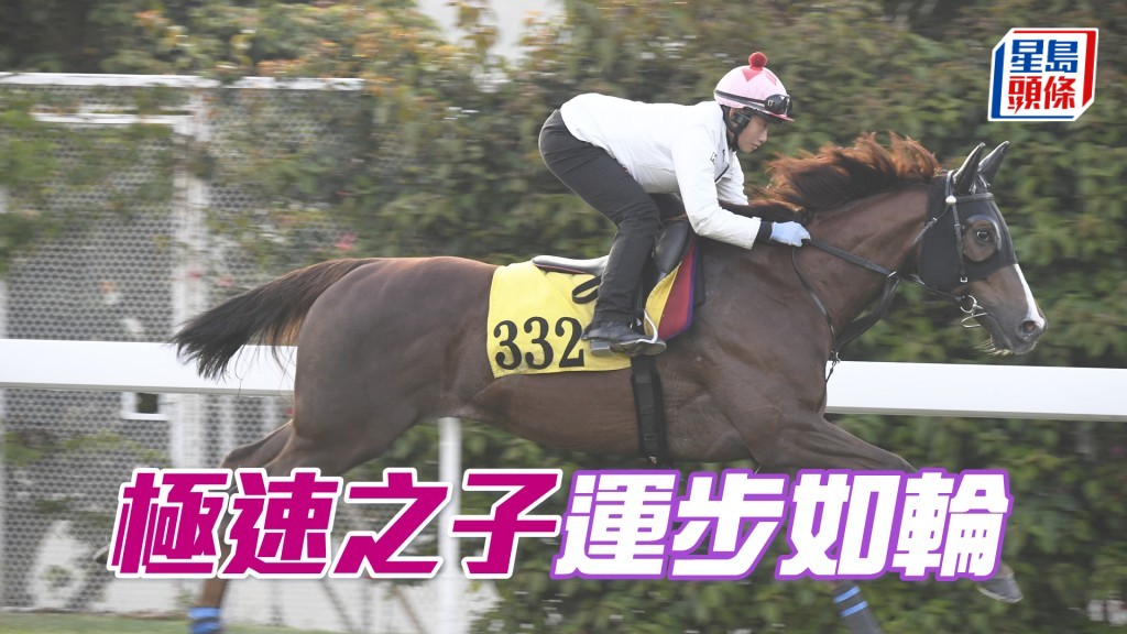 「極速之子」力度充足暗火湧現，近況出色。