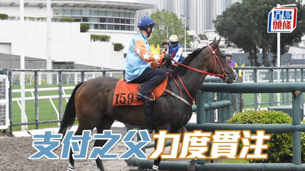 「支付之父」马身好靓毛色又悦目，持续进步锋芒毕露。