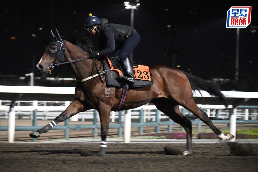 「好評如潮」動作瀟灑展步俐落，保持進度。