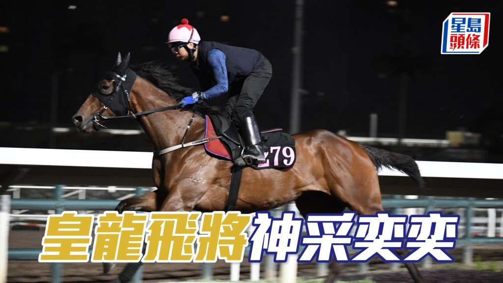 「皇龍飛將」力度充足暗火湧現，弗到漏油。