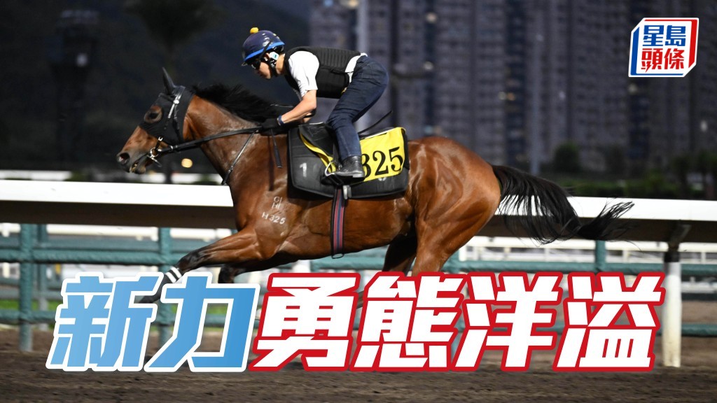 晨光追击│ 「新力」勇态洋溢