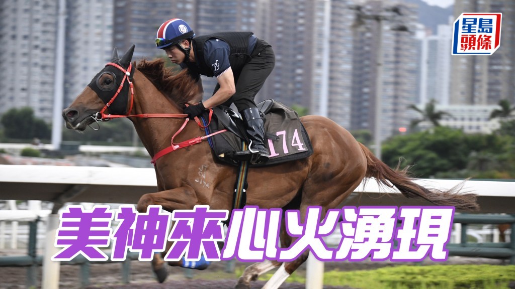  「美神來」活力十足佳態洋溢。