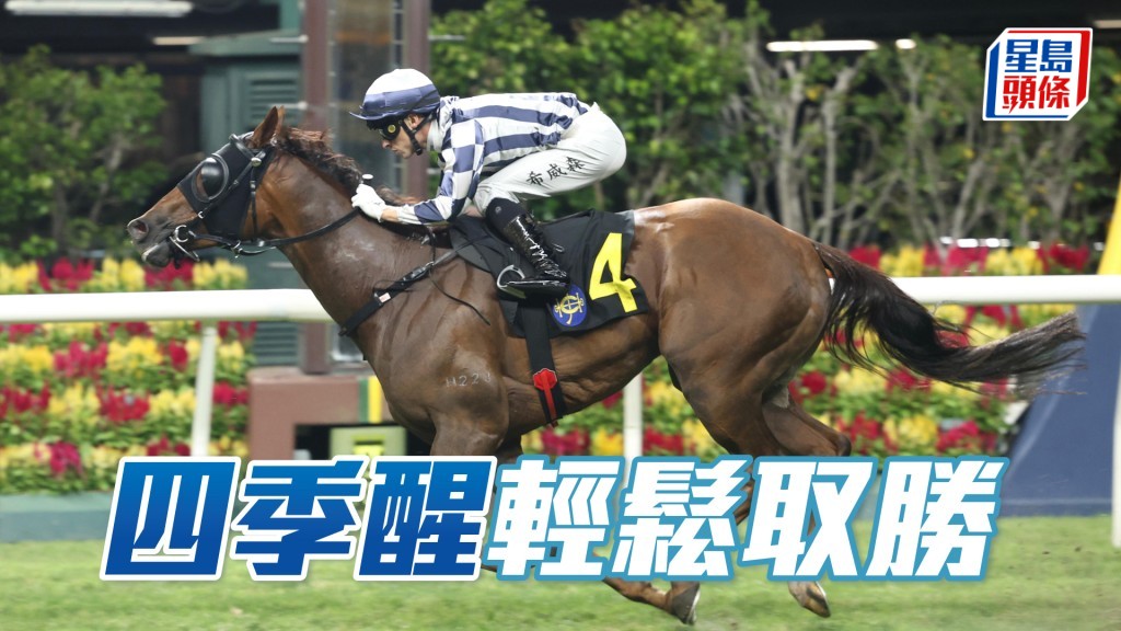 「四季醒」輕鬆取勝