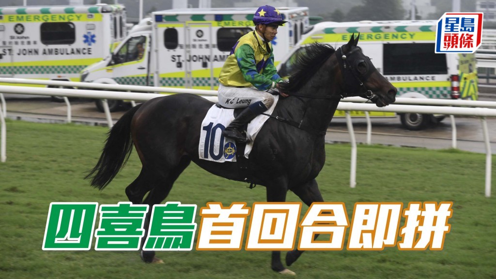 「四喜鳥」一再證明有利跑新鮮,新季首回合是其理想搏殺時機,希望黎昭昇能把握機會。