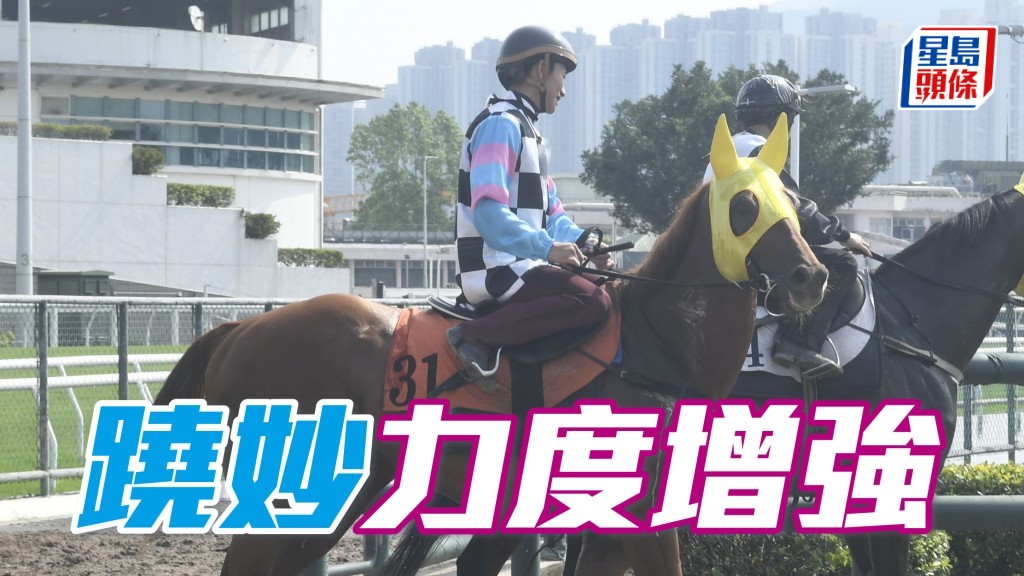 晨光追击│「跷妙」力度增强