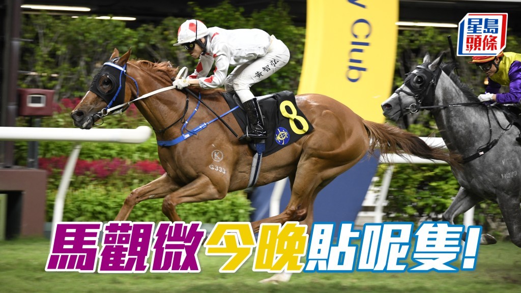 「川河首駒」有力再勝