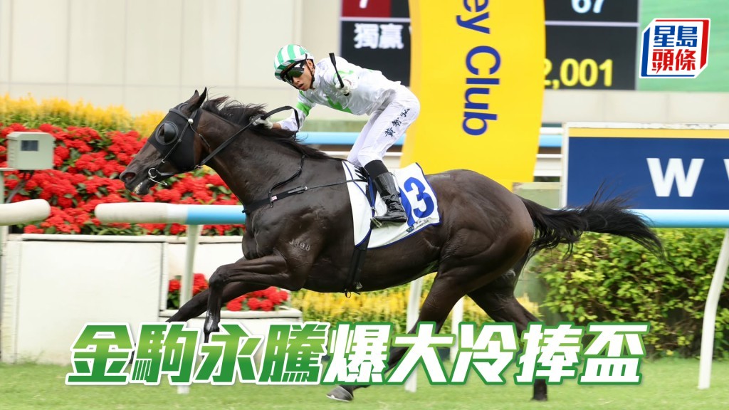 「金駒永騰」爆大冷捧盃