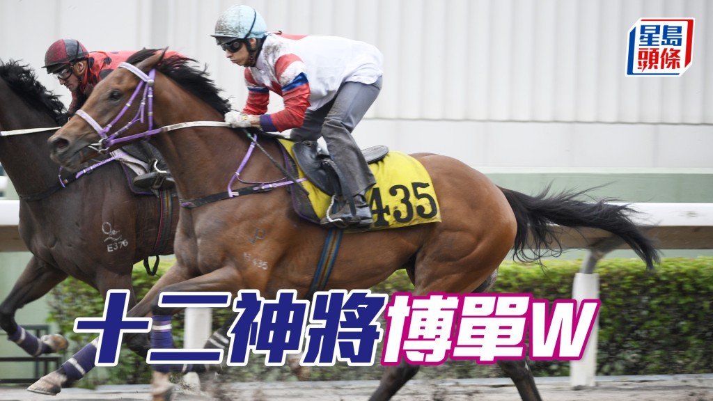 「十二神將」最近試泥閘觀感不俗，今次續配潘頓而排檔較主要對手有利，若有四倍W已可博。