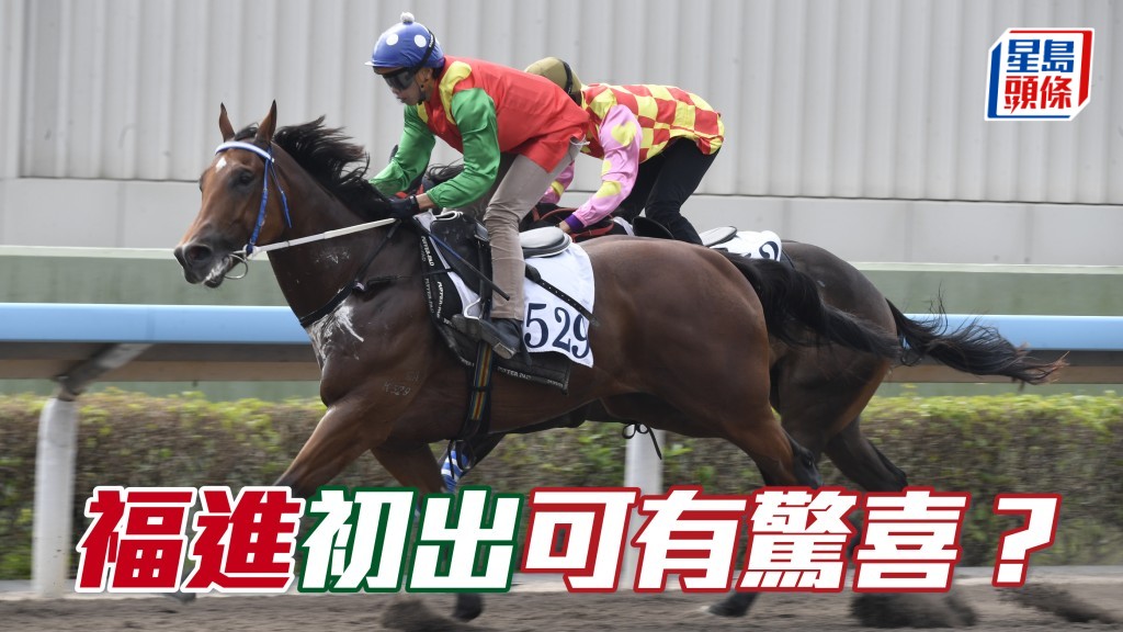 「進」系馬主陳永光的養馬運不錯，今次引入生力軍「福進」(圖)，有力一出即帶來驚喜。