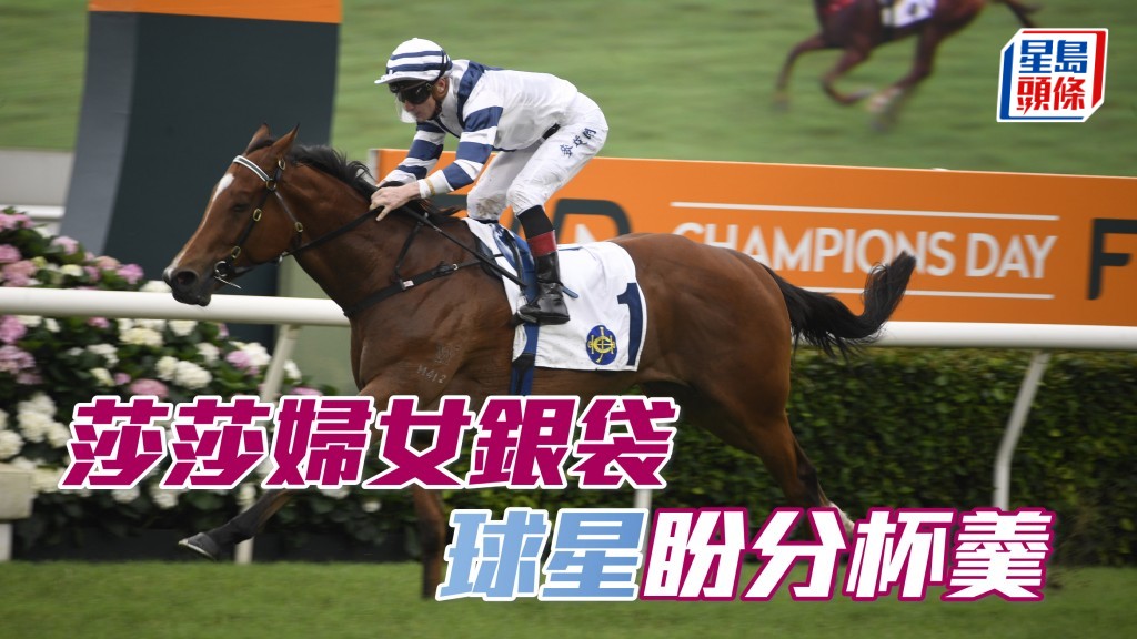 周日沙田馬場莎莎婦女銀袋獎金豐厚，「球星」盼分杯羹。