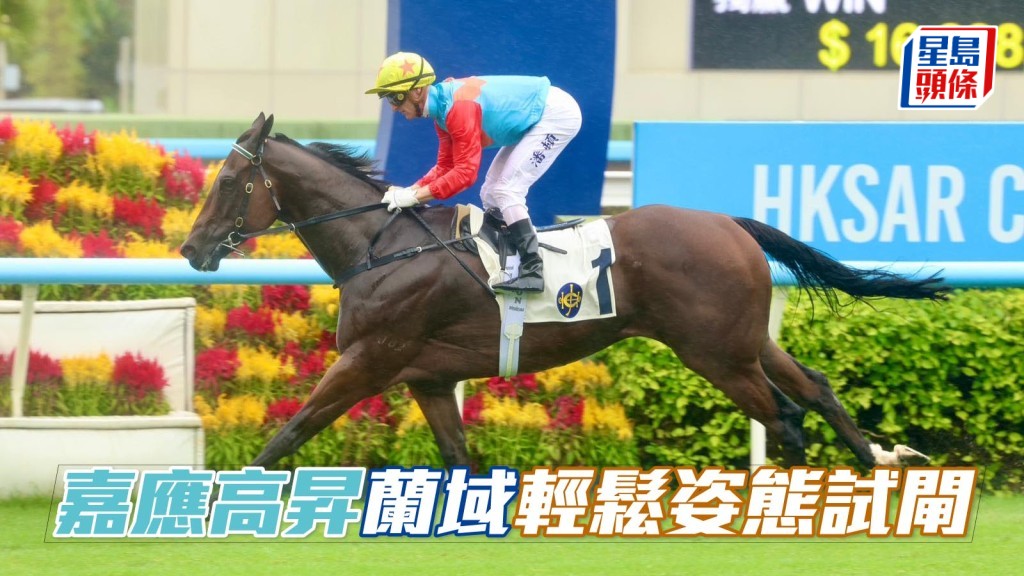 「嘉應高昇」今早在蘭域試閘，鞍上人潘頓全程沒有催騎之下以短距離跑第三名過終點，完成時間為58.39秒，最後六百米所造時間更是超快的33.67秒，反映「嘉應高昇」的表現在水平之上。