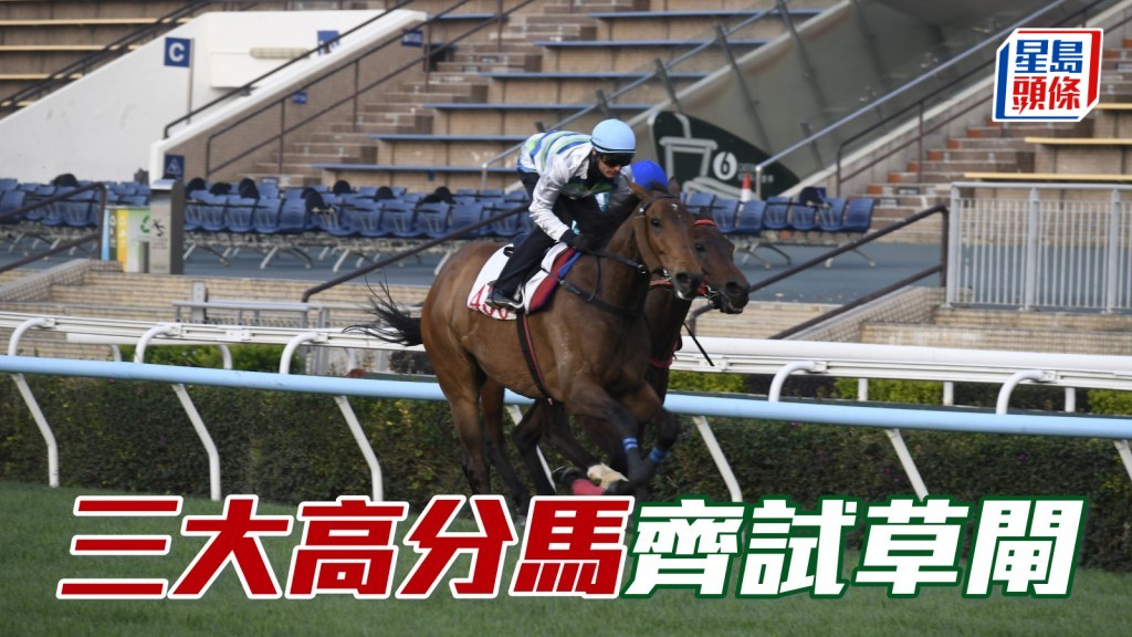 今天是大年初四，沙田晨课焦点落在三匹高分马上，「浪漫勇士」、「遨游气泡」和「祝愿」今早齐试草闸。