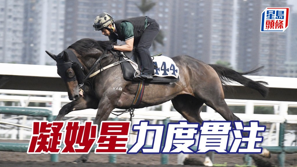 「凝妙星」毛色保持润泽身喼得靓，一直见好。