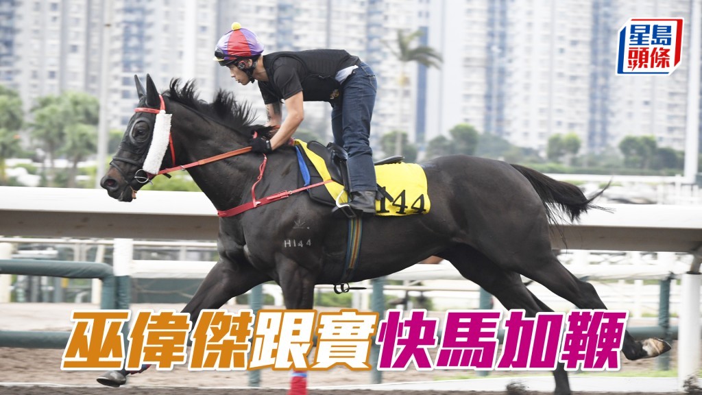 「快马加鞭」今朝巫伟杰课前课后跟到实，之后仲出手拖马，重视到极。