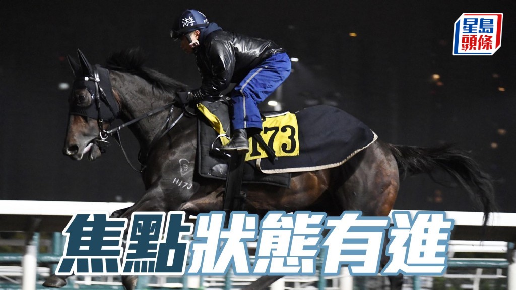 「焦點」神生步爽充滿朝氣，唞夠操足之馬，狀態有進無退。