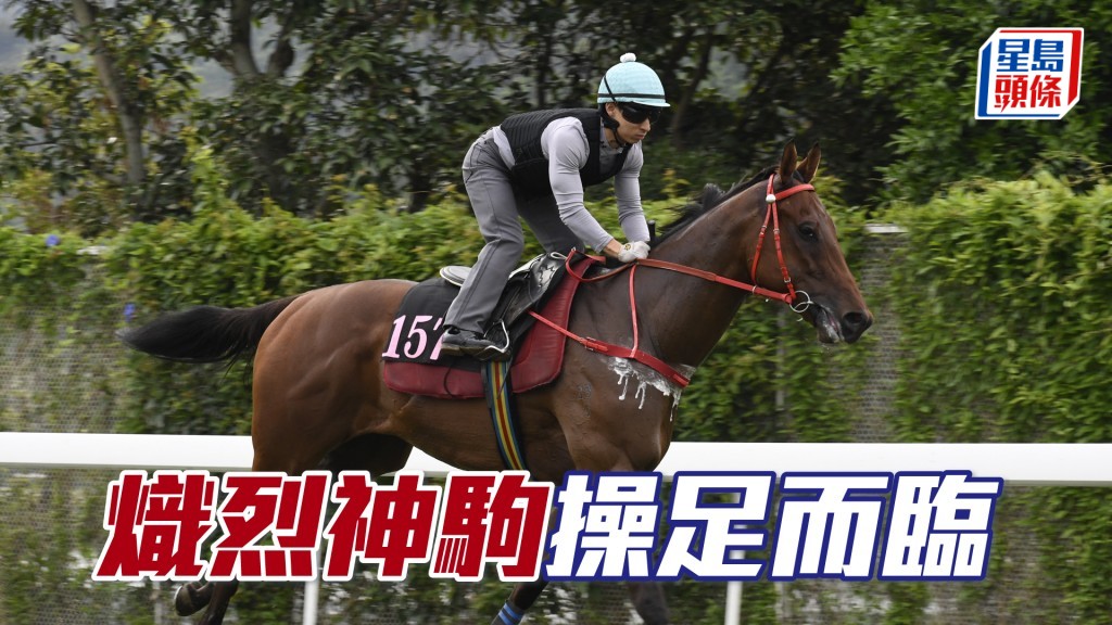 「熾烈神駒」神態活躍展現朝氣，出腳爽勁有力。