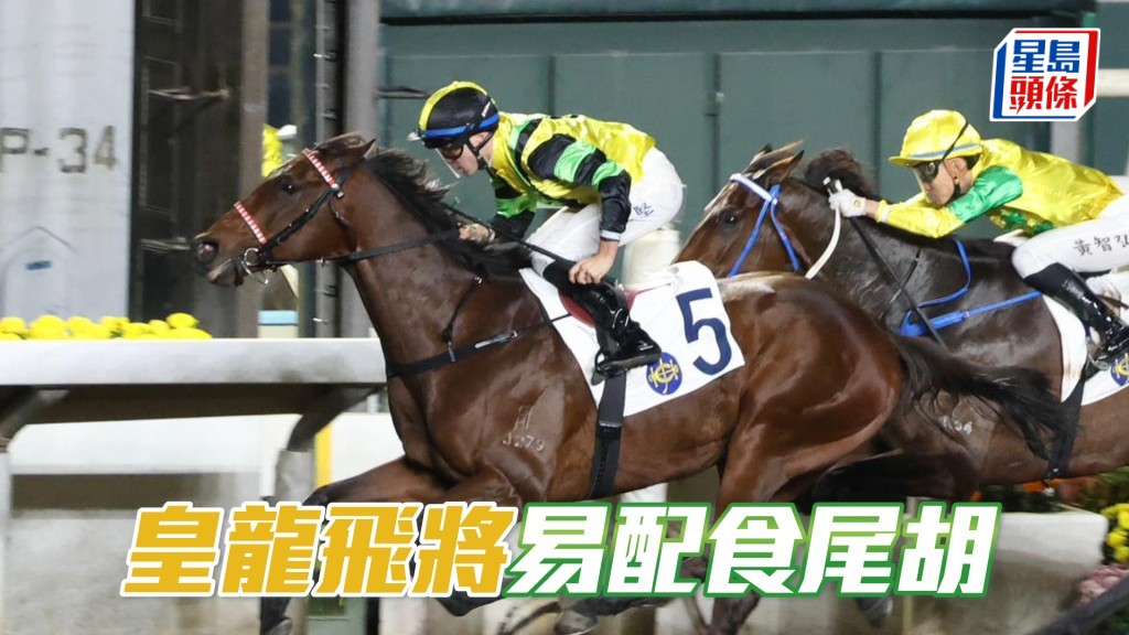 「皇龍飛將」易配食尾胡