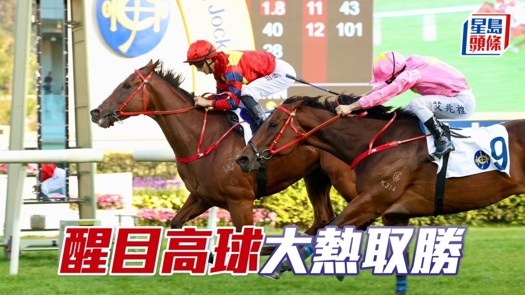 「醒目高球」大熱取勝