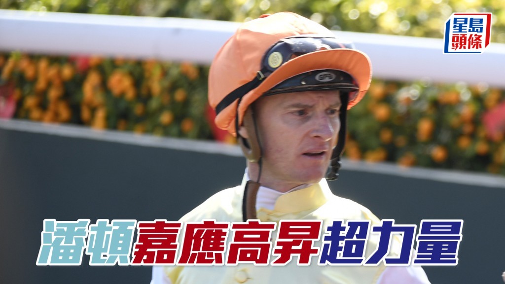 潘頓明日共有九匹坐騎。
