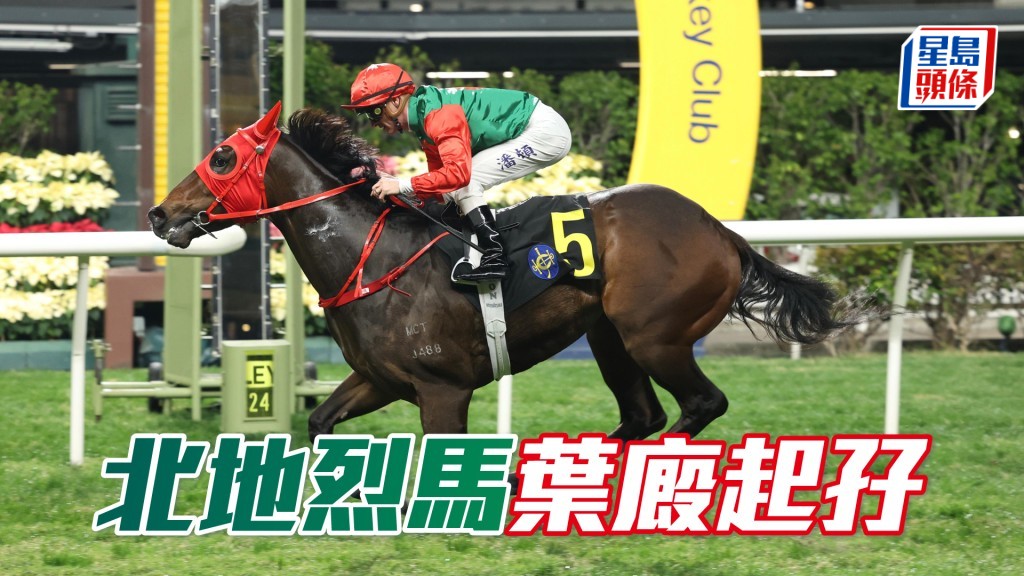 「北地烈馬」葉廄起孖