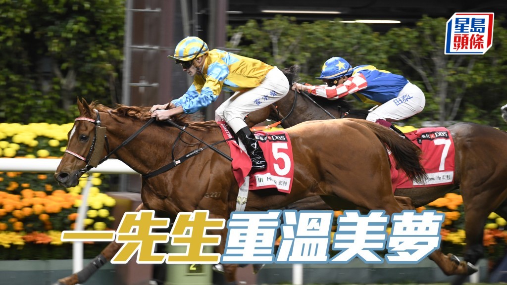 「一先生」對上一場頭馬正是去年二月五日在谷草一哩建功。
