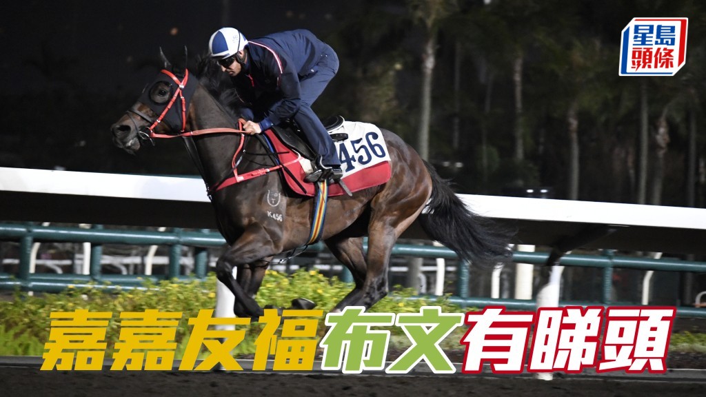 布文耙地前出試「嘉嘉友福」(圖)，課後沈集成趕去接馬，並且向他追問，更特別當時未有理會同時段出跳的「熾烈神駒」。