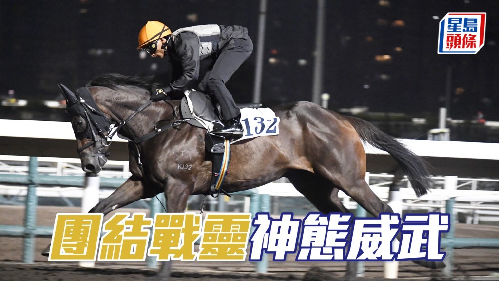  「团结战灵」步顺轻快有弹力，比起赢马时更靓。
