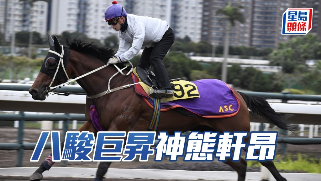 「八駿巨昇」身壯飽滿神態軒昂，論態在上佳水準。