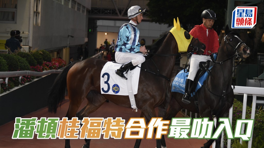 查潘頓與福特季內十次合作，結果只有「銳一」(圖) 跑獲亞、季軍各一次。