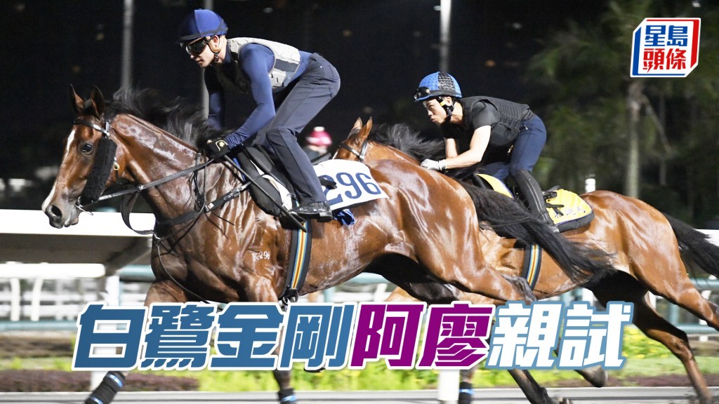 廖康銘為了替「白鷺金剛」打破處子之身，可以話絞盡腦汁。
