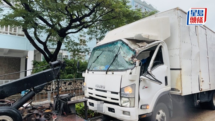 大樹塌下壓中輕型貨車,司機受傷。蔡楚輝攝