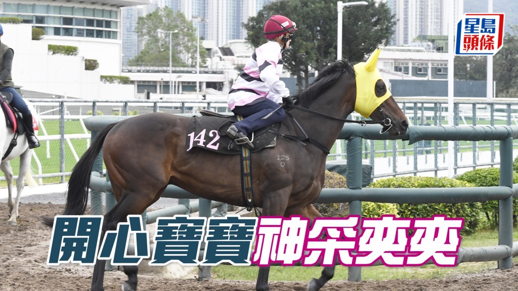 「开心宝宝」大步顺走气宇轩昂，论态一直在上佳水准。