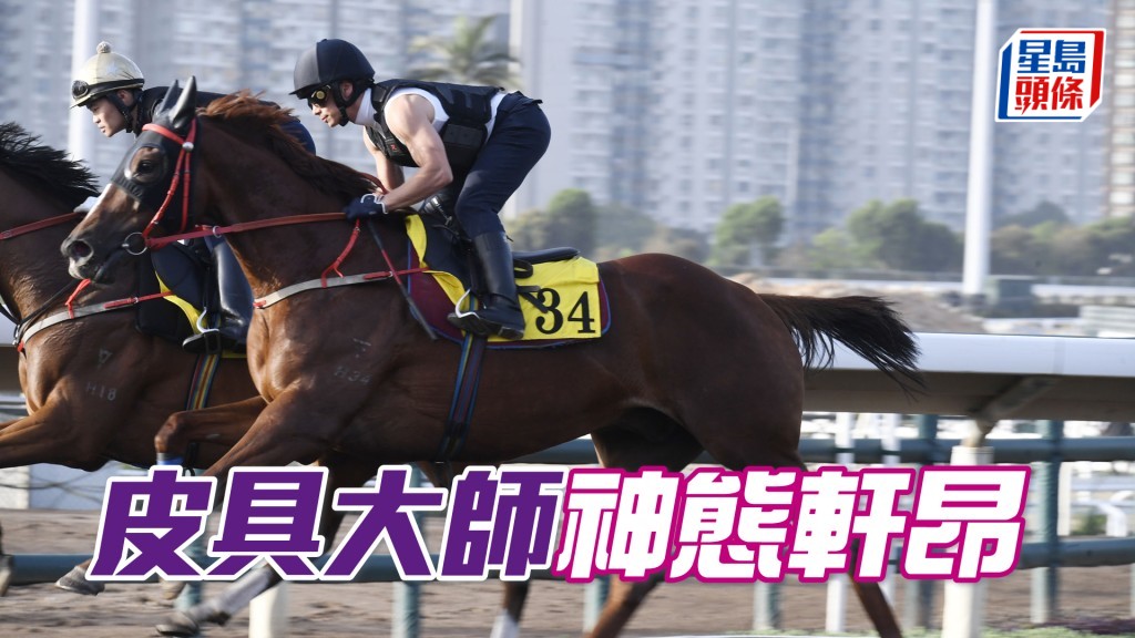 「皮具大師」外觀仍靚身壯色潤，依然省鏡。