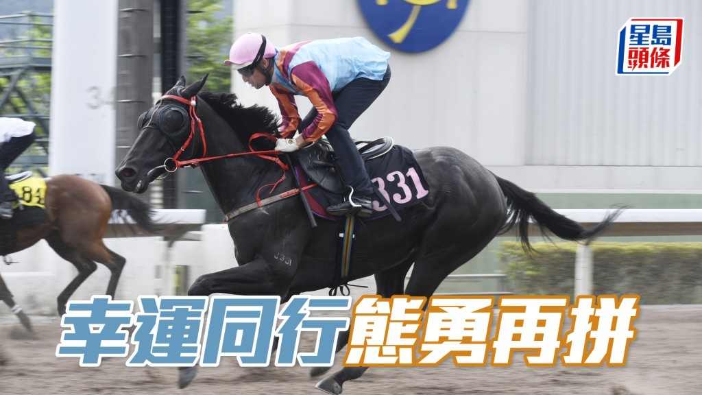 「幸運同行」上仗飛到馬到,季尾勇馬要重視。