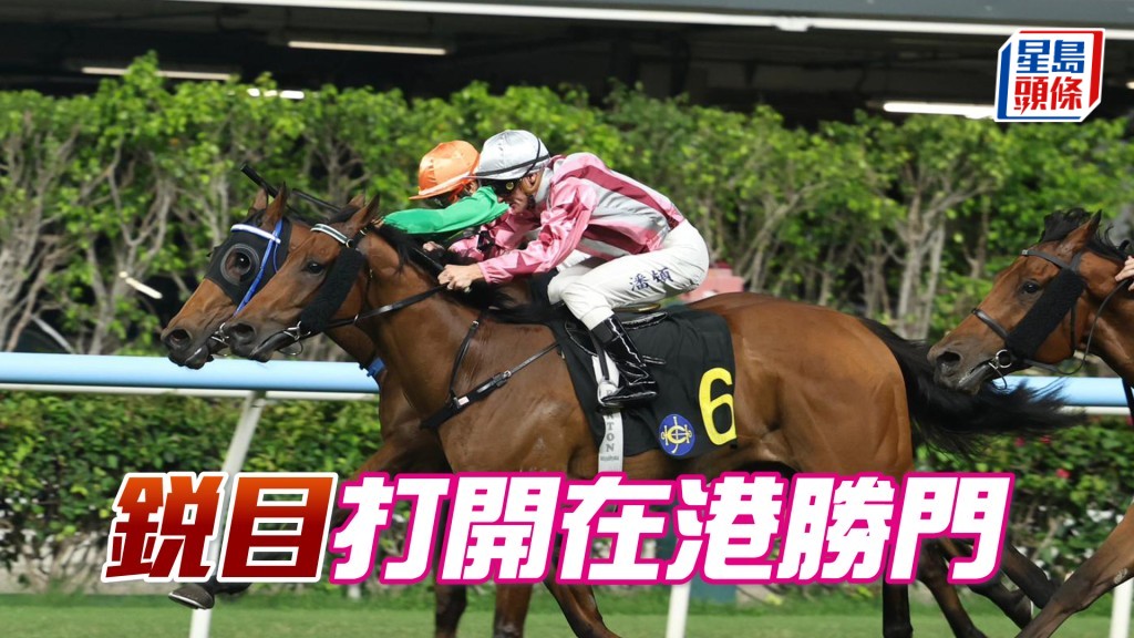 「銳目」打開在港勝門
