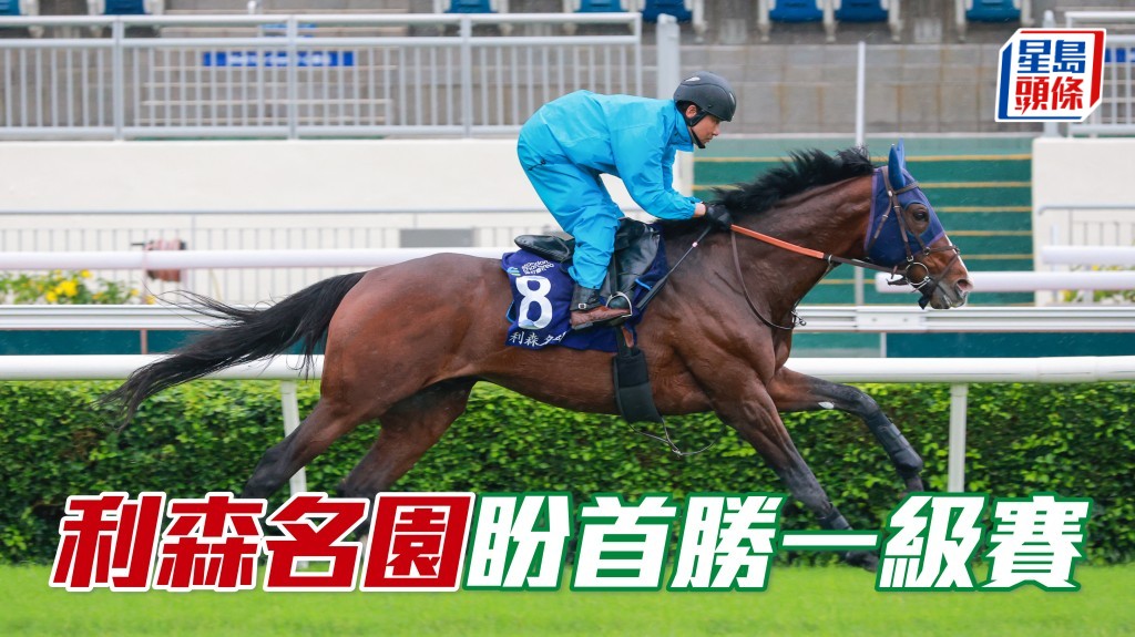 「利森名園」第五度遠征盼揚威渣打冠軍暨遮打盃首勝一級賽