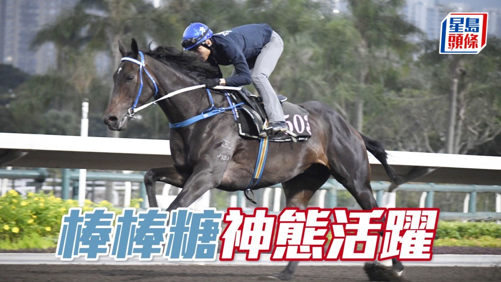 「棒棒糖」墜手用暗力拉實，比起上仗更吸引。