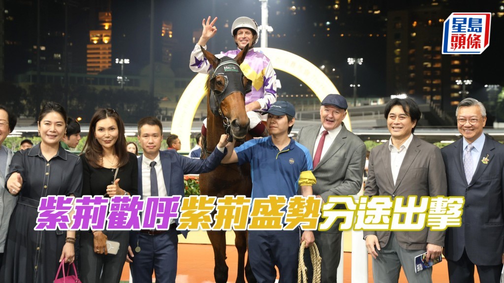 「紫荆欢呼」（图）和「紫荆盛势」将出战第九及十一场。