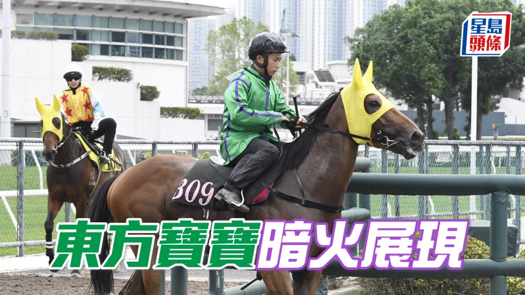 「东方宝宝」步顺轻巧神态畅旺，近况出色相当吸引。