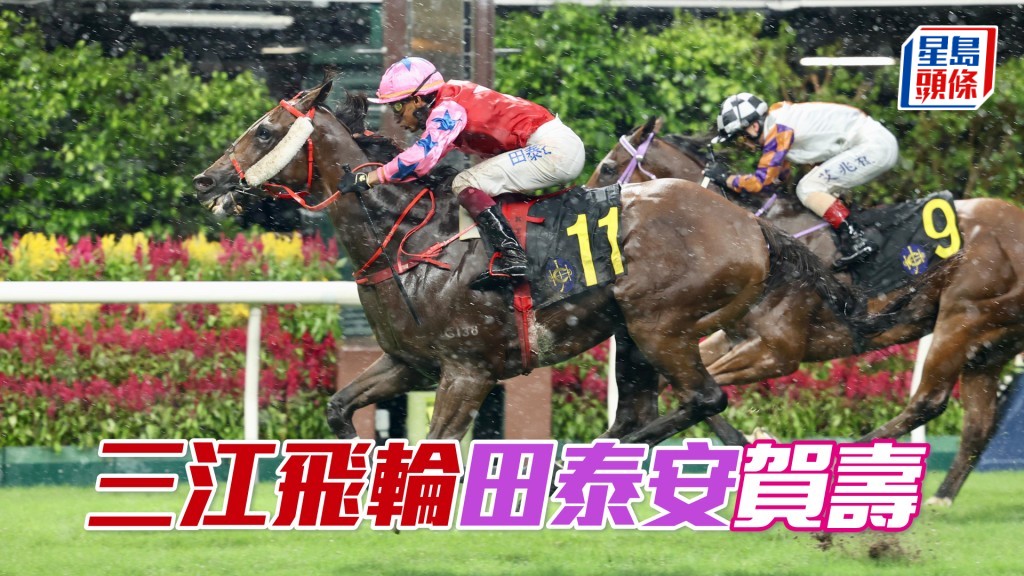 「三江飛輪」田泰安賀壽