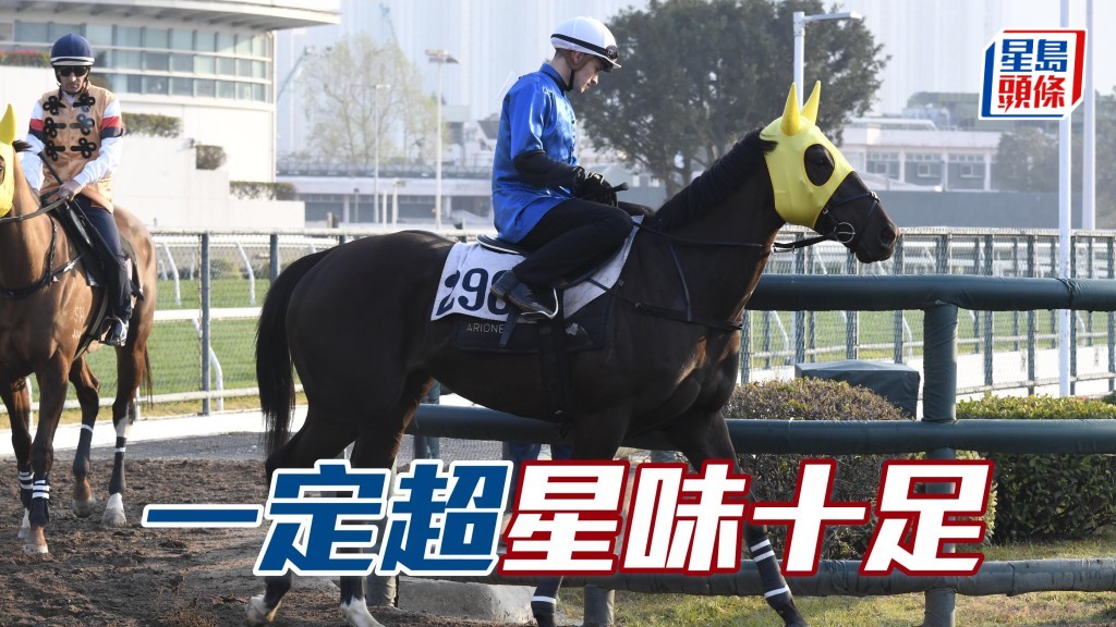 「一定超」助手踱兩圈，身壯如牛，神態活潑勁力充沛，馬身靚皮光肉滑，有進無退星味十足。