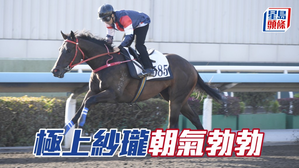 「極上紗瓏」翻步流暢有彈力，更加進步。