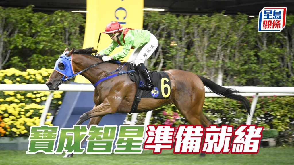 「寶成智星」若能把握起步並以較慢步速領放，隨時放到。