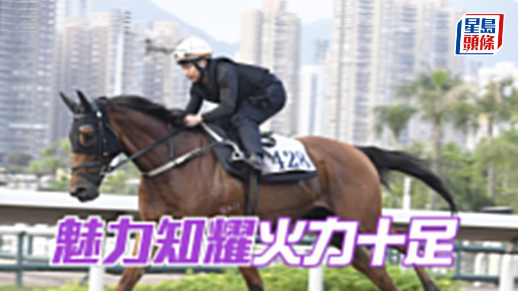 「魅力知耀」全程緊韁捉實，馬身好壯火力極充沛。
