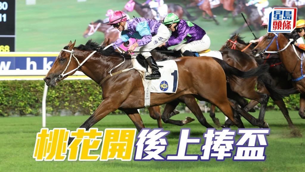 「桃花開」後上捧盃